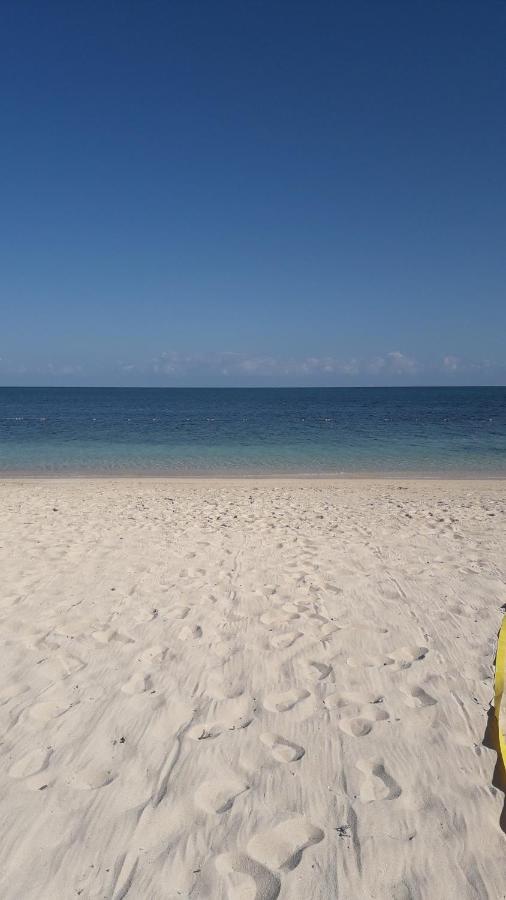Seacastle deluxe studio Montego Bay Exterior foto