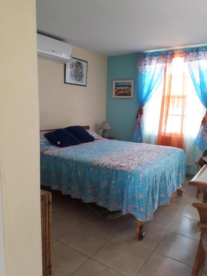 Seacastle deluxe studio Montego Bay Exterior foto