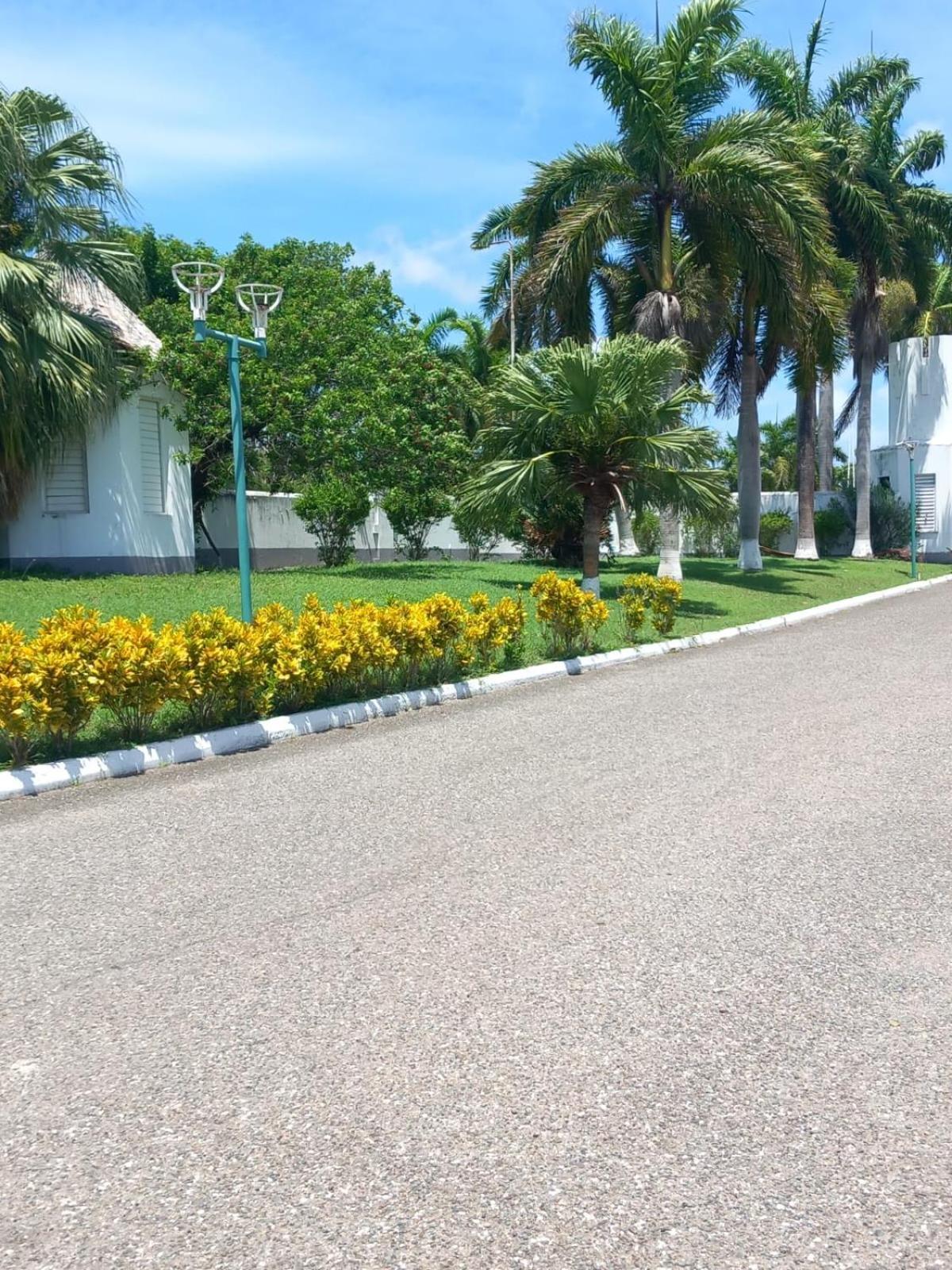 Seacastle deluxe studio Montego Bay Exterior foto